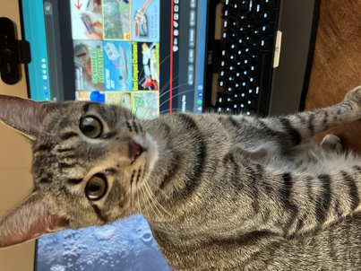 tobi1