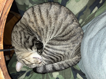 tobi3